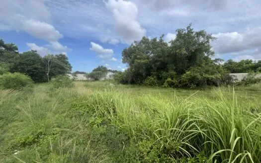 Beautiful land 3 rai, 1 ngan – Ban Don