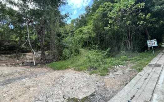 Large land 11 rai, 3 ngan – Chalong