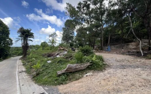 Large land 11 rai, 3 ngan – Chalong